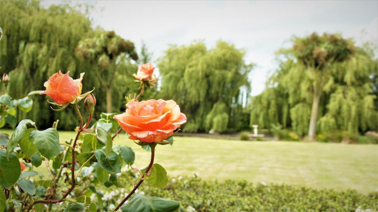 Tuscany Downs Estate Darfield エクステリア 写真